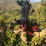 Despina Country Retreat بافوس