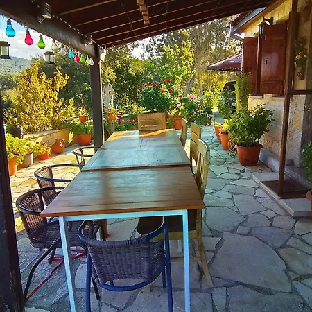 Homestay Despina Country Retreat Paphos