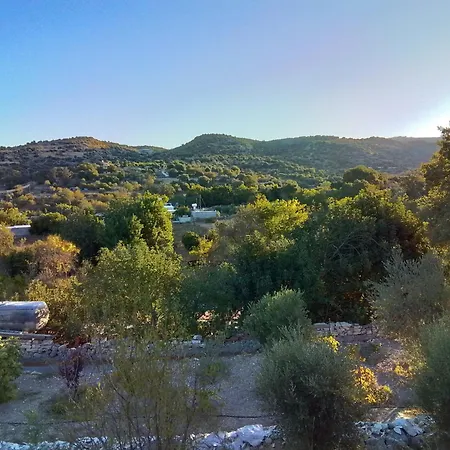 Despina Country Retreat Pansiyon *