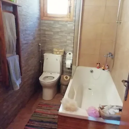 Gazde/Camere de închiriat Despina Country Retreat