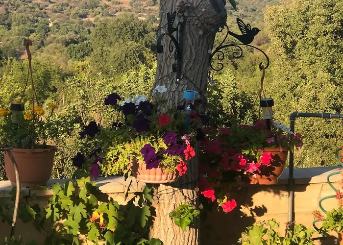 Despina Country Retreat Paphos