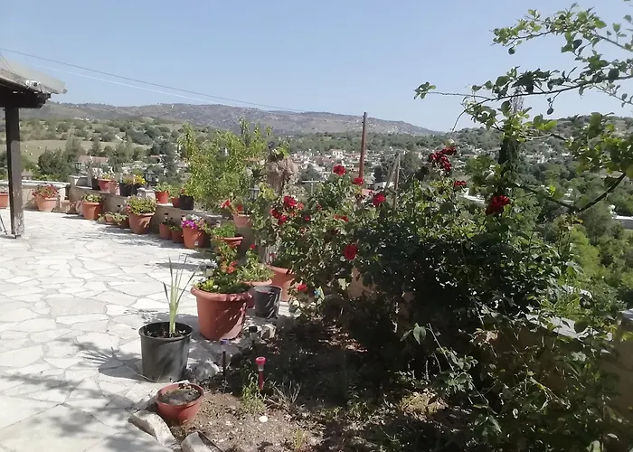 Despina Country Retreat Paphos
