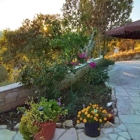 Despina Country Retreat * Pafos