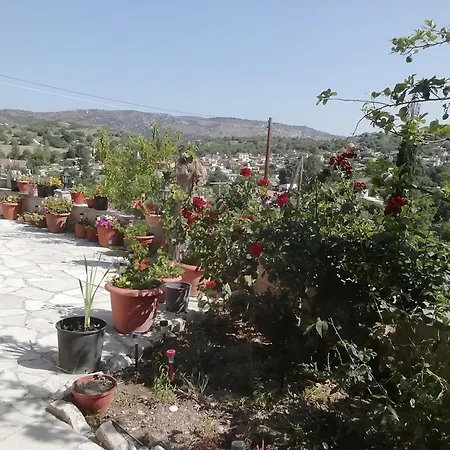 Despina Country Retreat Pafos