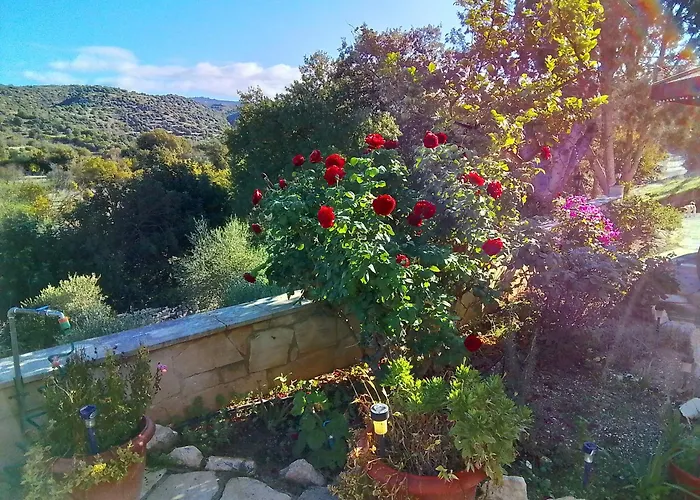 Despina Country Retreat בית אירוח