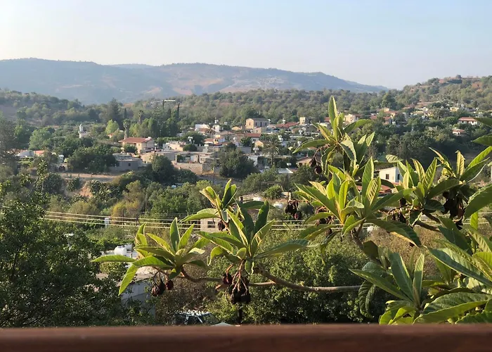 בית אירוח Despina Country Retreat פאפוס