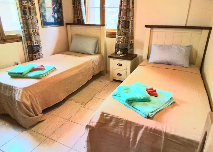 Despina Country Retreat פאפוס