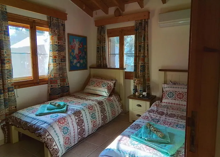 Despina Country Retreat בית אירוח פאפוס