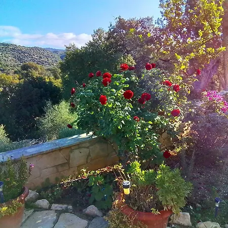 Despina Country Retreat Проживание в семье