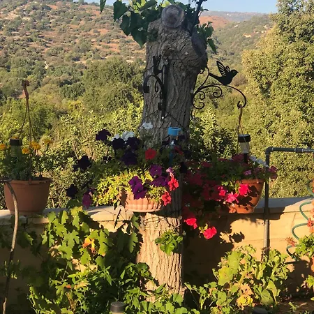 Despina Country Retreat بافوس